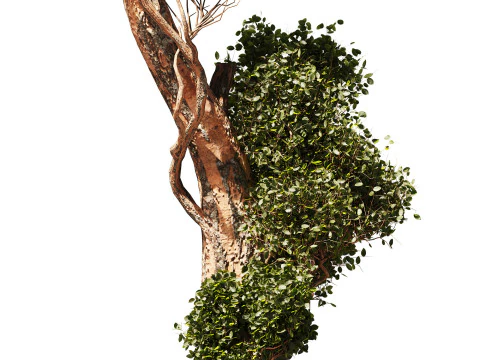 Tree Vol 06 3D Model