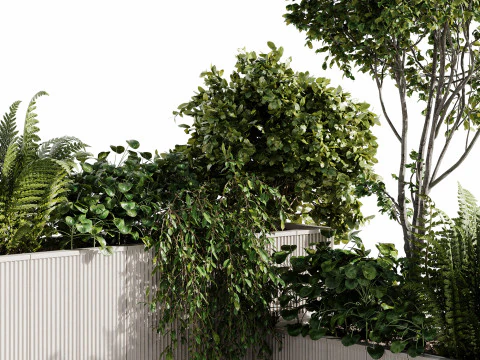Outdoor Plants 08 - Garden 3D Model