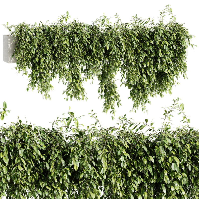 Outdoor Plants 09 - Hanging Plant 3D Модель .c4d .max .obj .3ds .fbx .stl .blend 