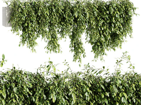 Outdoor Plants 09 - Hanging Plant 3D Model