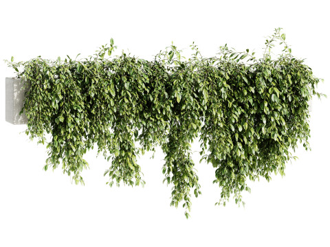 Outdoor Plants 09 - Hanging Plant 3D Модель