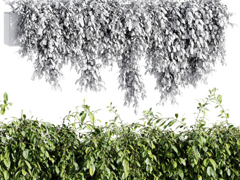 Outdoor Plants 09 - Hanging Plant 3D Модель
