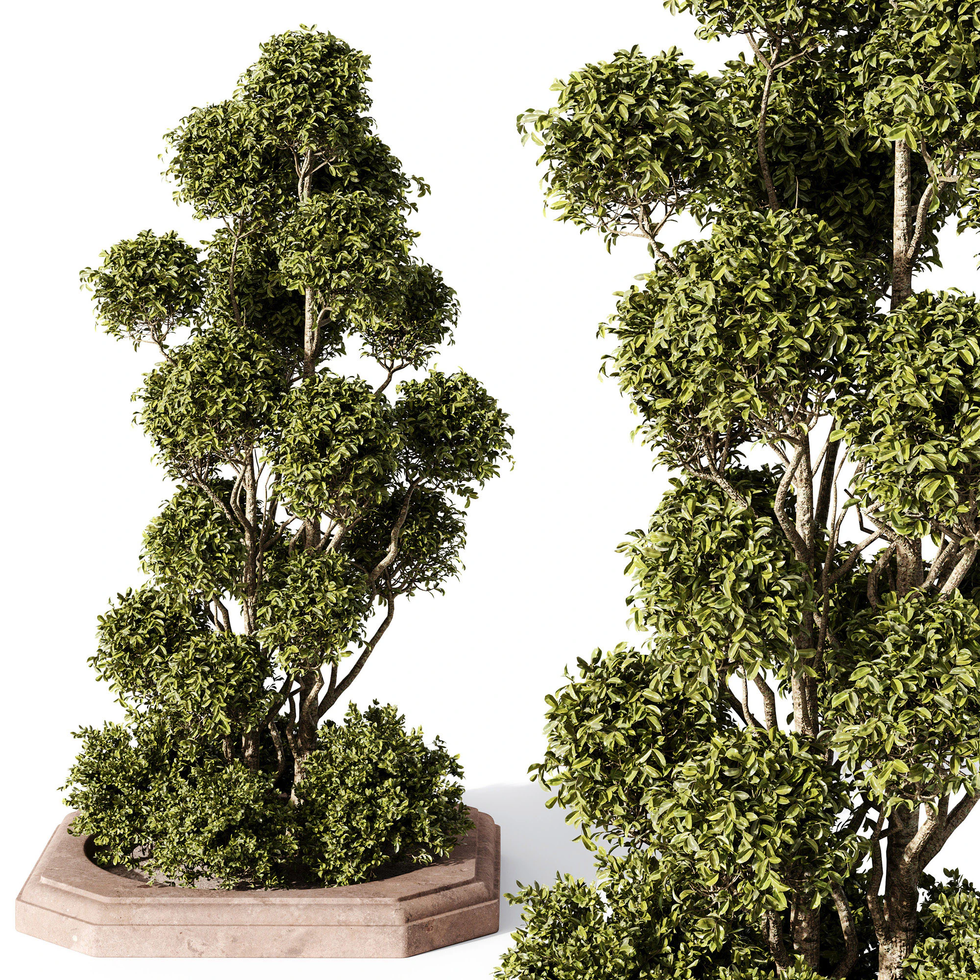 Outdoor Plants 10 - Garden 3D Model .c4d .max .obj .3ds .fbx .stl .blend 