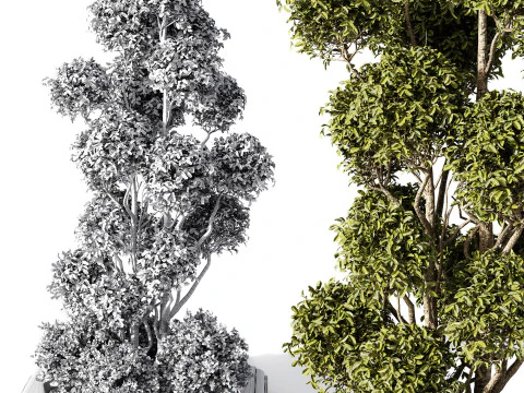 Outdoor Plants 10 - Garden 3D Model