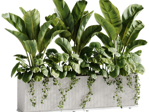 Outdoor Plant 11 Plants In Box Model 3D