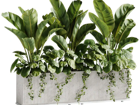 Planta Exterior 11 Plantas En Caja Modelo 3D