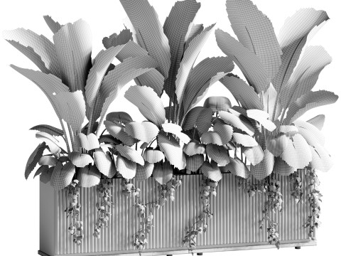 Outdoor Plant 11 Plants In Box Modèle 3D