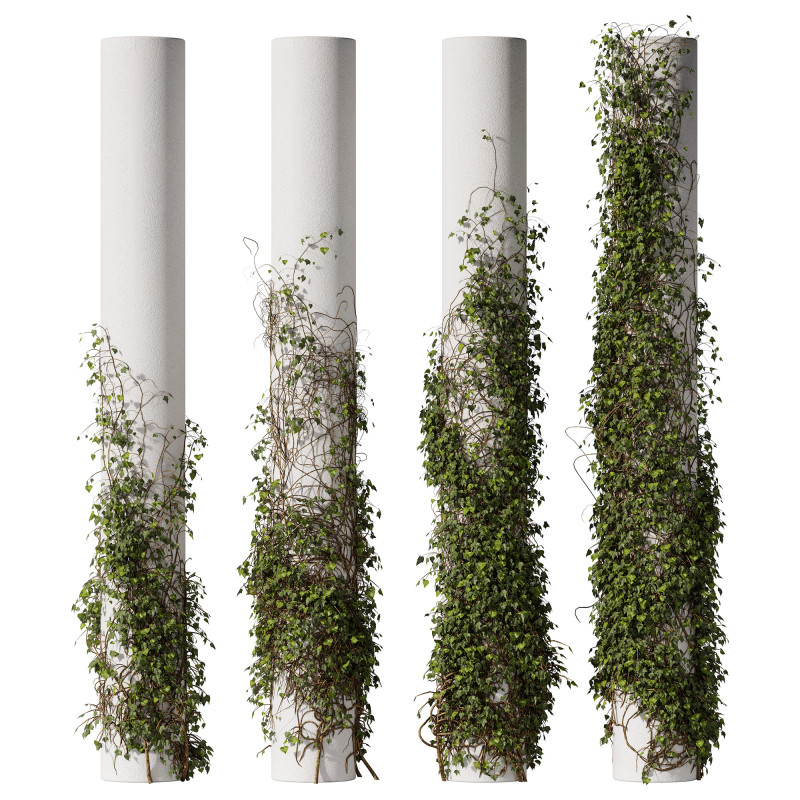 Ivy On Column 3D 모델 .c4d .max .obj .3ds .fbx .stl .blend 