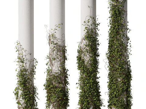 Bluszcz Na Kolumnie Model 3D