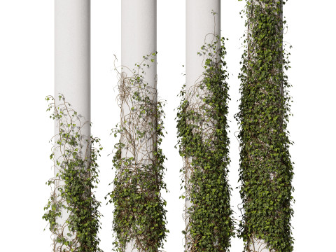 Ivy On Column 3D 모델