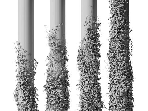 Ivy On Column 3D 모델