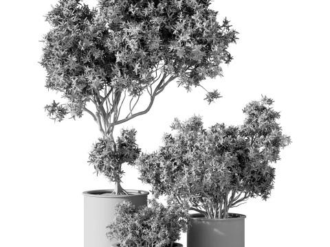 Indoor Plants 34 - Trees And Bushes 3D Model
