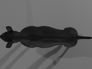Dog Model 3D