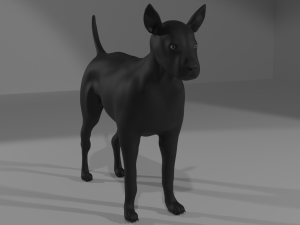 Dog Model 3D