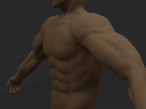 Man 3D 模型
