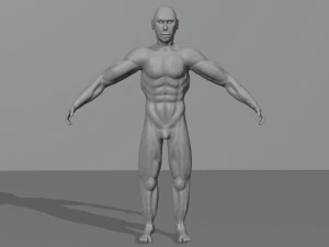 Man 3D Model