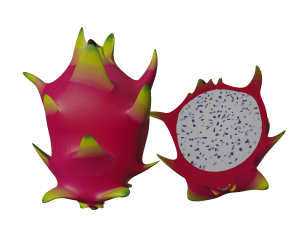 Dragon fruit - thanh long - tropical fruit 3D Model
