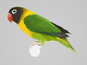 Love bird Modello 3D