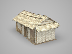 Modern architecture small thatched cottage Modèle 3D