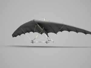 Modern vehicle gliders Model 3D