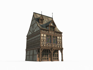 Middle world towns building houses 3D Model