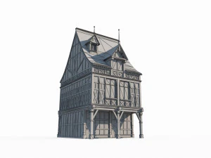 Miasta środkowego świata budują domy Model 3D