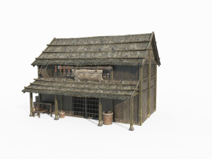 Asian ancient architecture and residential stores 3D Model
