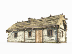 Old style wooden and thatched houses 3Dモデル