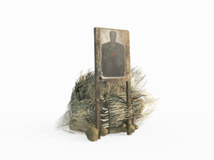 Field Target 3D Модель