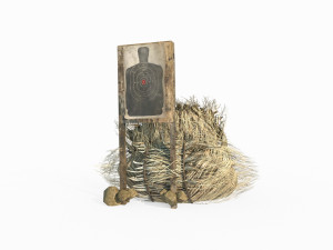 Field Target 3D 模型
