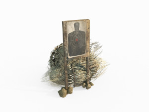 Field Target 3D 模型