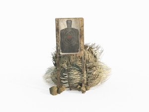 Field Target 3D 模型