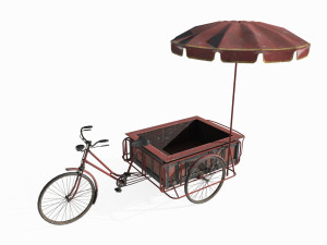 Asian human powered tricycle Model 3D