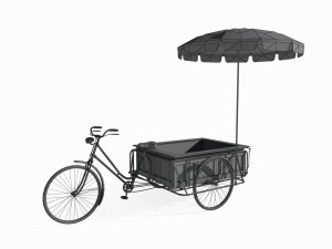 Asian human powered tricycle Model 3D
