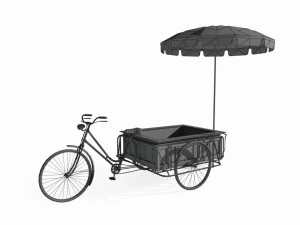 Asian human powered tricycle 3D Model