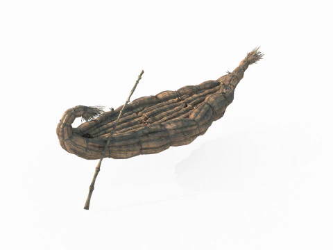 Ancient straw boats 3D Model