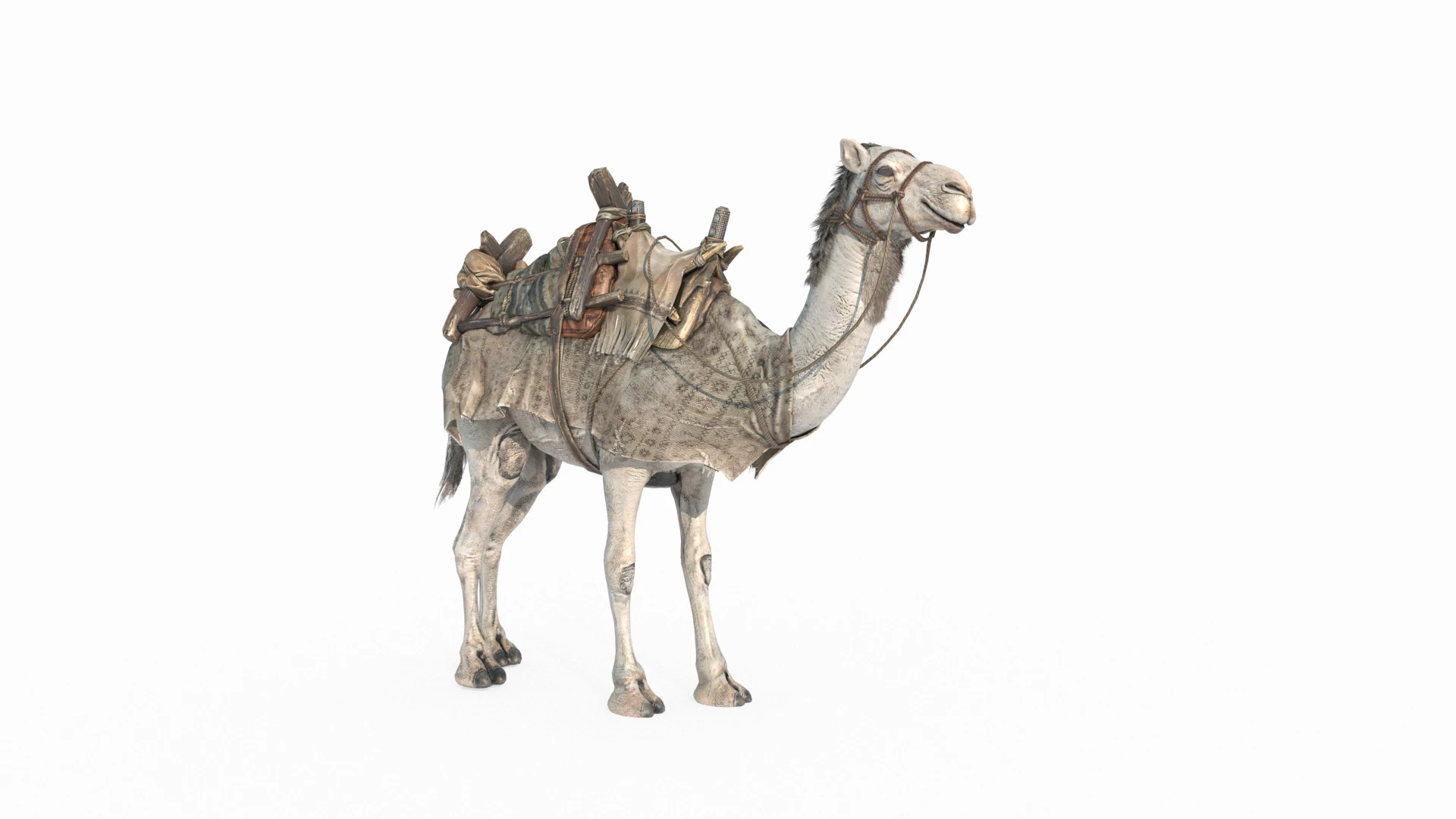 Desert camel mount 3D Model .c4d .max .obj .3ds .fbx .stl .blend 