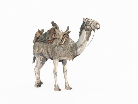 Desert camel mount Modelo 3D
