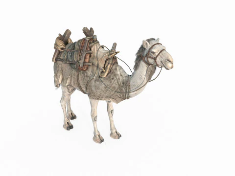 Desert camel mount 3D Model