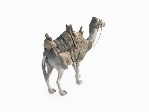 Desert camel mount 3Dモデル