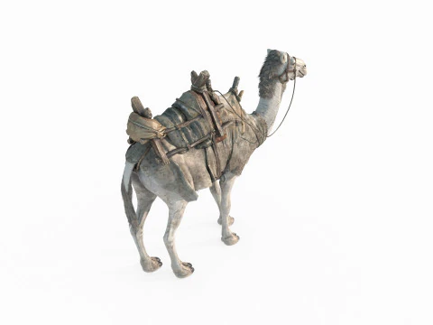 Desert camel mount 3D Model
