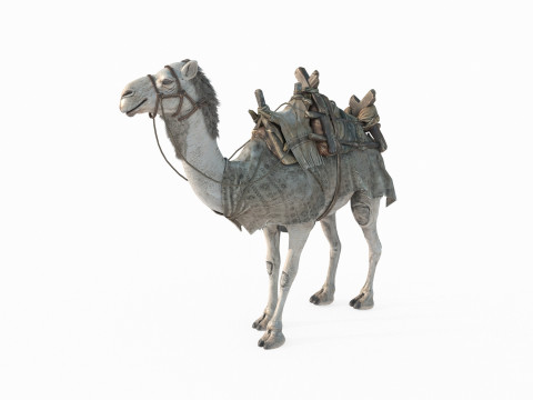 Desert camel mount 3Dモデル