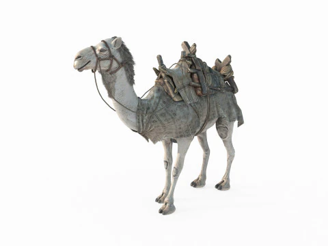 Desert camel mount 3D Model