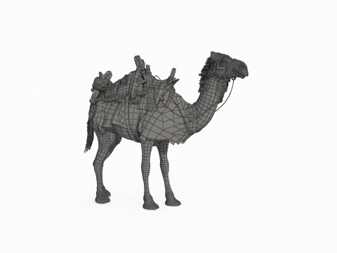 Desert camel mount 3Dモデル