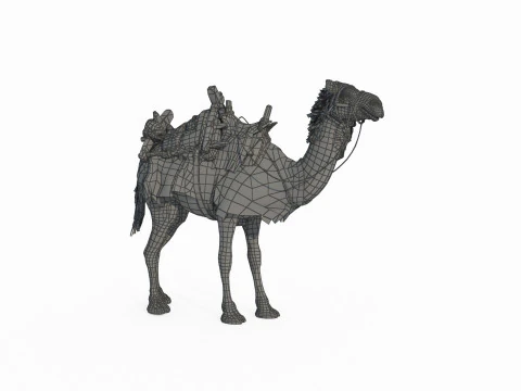 Desert camel mount 3D Model