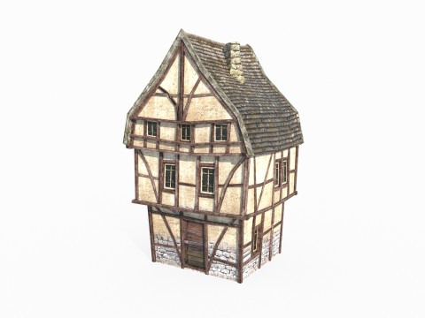 Medieval architecture urban housing 3D Model