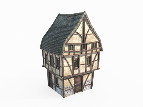 Medieval architecture urban housing 3D Model