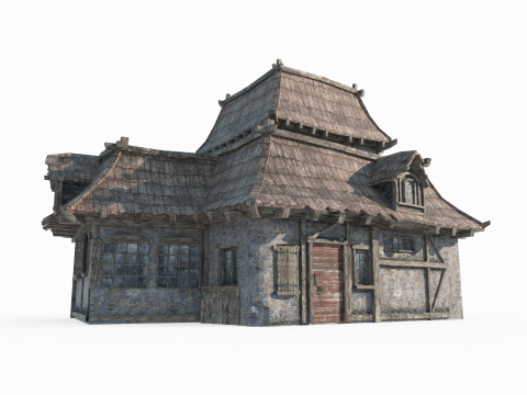 Magical style ancient architectural houses 3D 模型