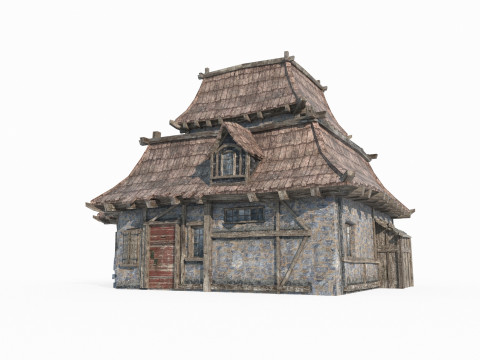 Magical style ancient architectural houses 3Dモデル
