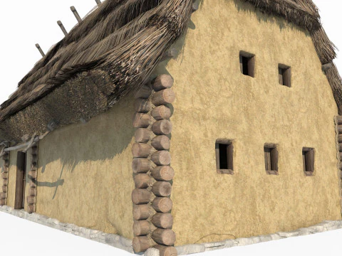 Medieval thatched cottages 3D Model